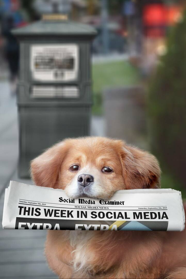 examinador de mídia social, notícias semanais, 5 de setembro de 2015