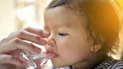 Como deve ser dada água aos bebês? Bebês com menos de seis meses podem receber água?