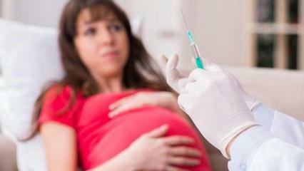Aviso de especialistas! Mulheres grávidas vão esperar pela vacina do coronavírus