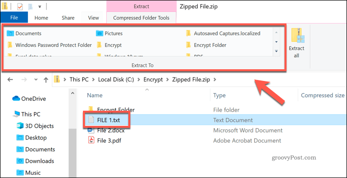 Extração de um arquivo individual de um arquivo Zip no Windows File Explorer