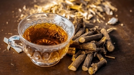 Quais são os benefícios do alcaçuz? Como fazer chá de raiz de alcaçuz? Para que serve alcaçuz?