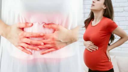 Como entender as partes do aborto espontâneo durante a gravidez? Realização de baixo ...