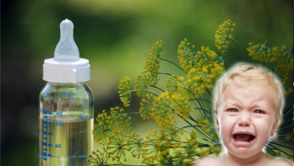 Quanto deve ser administrado chá de erva-doce aos bebês? Os benefícios da erva-doce em bebês com cólica