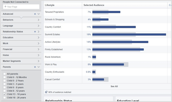 Visualize o Facebook Audience Insights para um público personalizado.