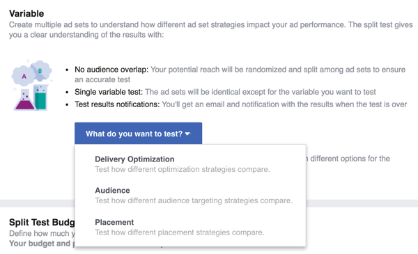 Selecione a variável que deseja testar com seu anúncio do Facebook.