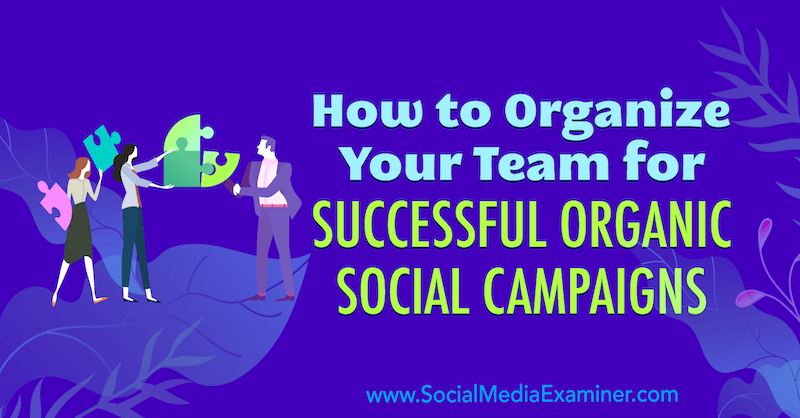 Como organizar sua equipe para campanhas sociais orgânicas de sucesso, por Janette Speyer no examinador de mídia social.