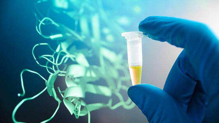 substância de homocisteína pode aumentar devido ao fumo 