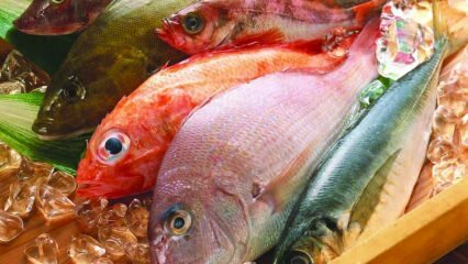 Quais são os benefícios do peixe? Como consumir o peixe mais saudável?