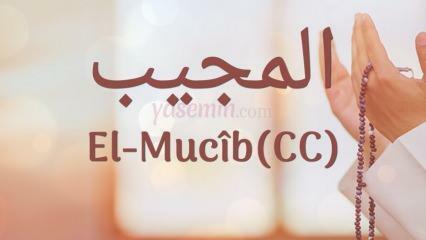 O que al-Mujib (c.c) significa? Quais são as virtudes do nome Al-Mujib? Esmaul Husna Al-Mujib...