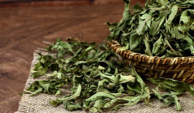 Como fazer chá de erva-cidreira