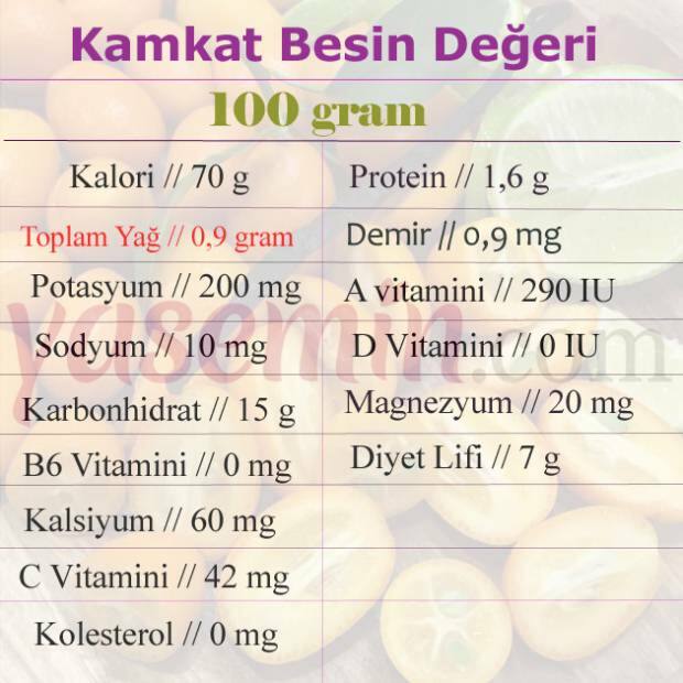 valor nutricional do kumquat
