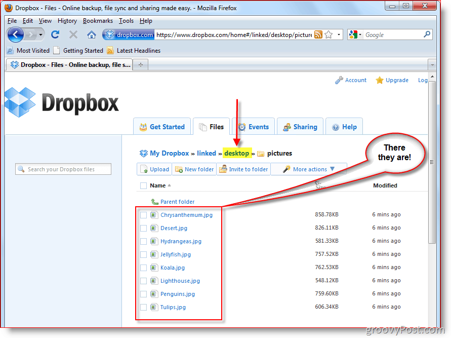 Console da Web do Dropbox