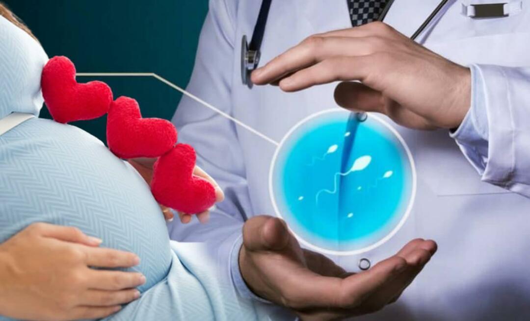 Um novo método no tratamento da infertilidade: terapia com células-tronco na infertilidade feminina!