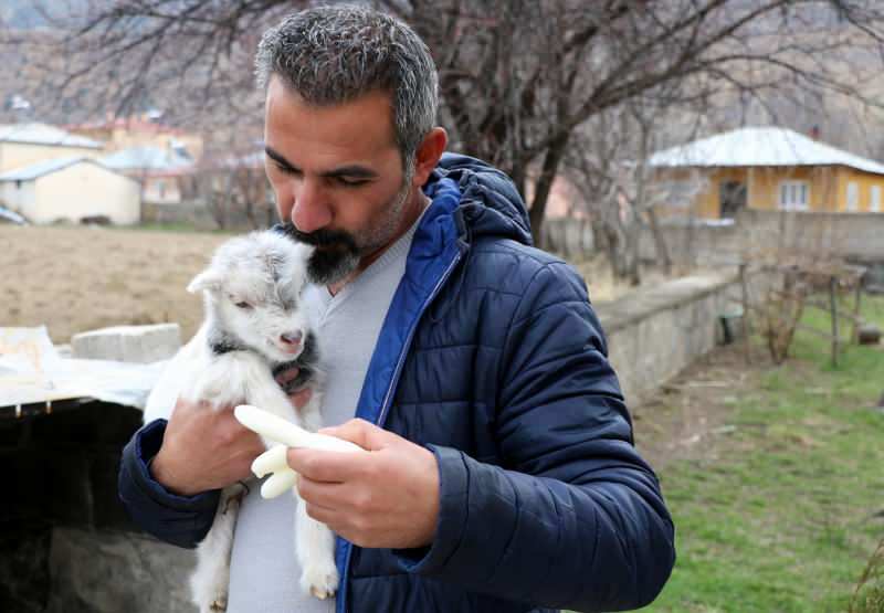 Murat Aydemir salvou a vida do filhote de cabra