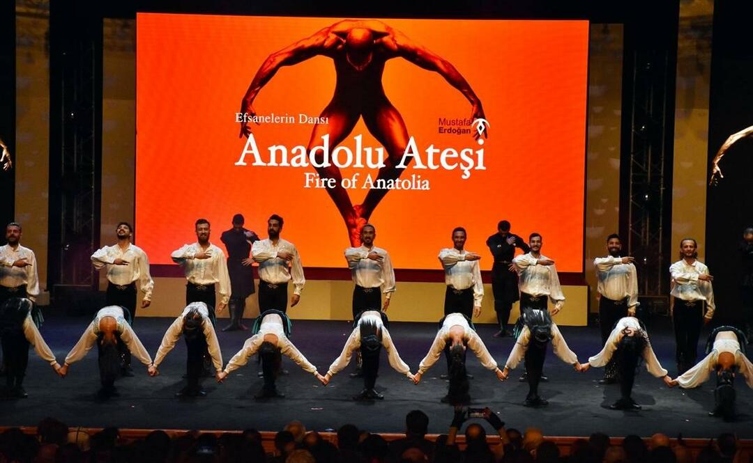  2. Grupo de dança Korkut Ata Turkish World Film Festival Fire of Anatolia