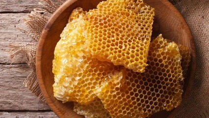 Quais são os benefícios do mel? O que é envenenamento por mel bravo? Quantos tipos de mel existem? 