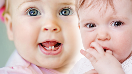 O que é bom para a dentição em bebês? Quando será o primeiro dente, quais são os sintomas? febre ...