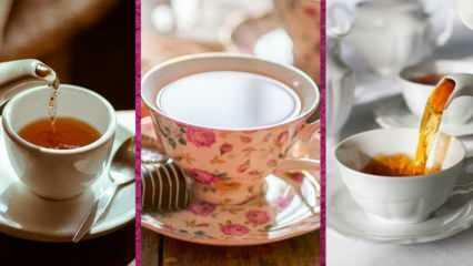 Quais são os melhores modelos de xícaras de chá da Evidea? 2022 Os melhores modelos e preços de xícaras de chá