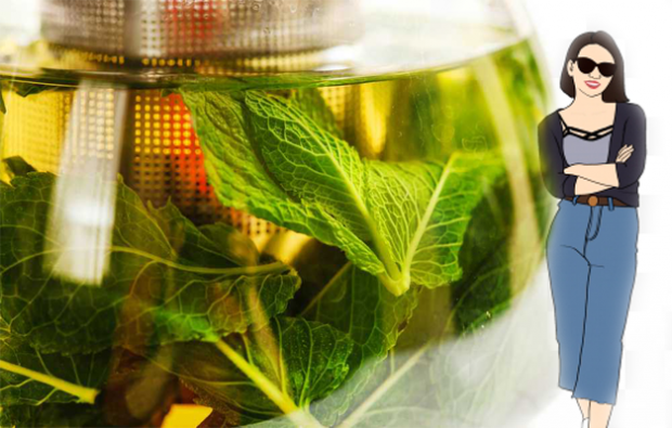 receita de chá de ervas que facilita a digestão