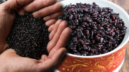 Quais são os benefícios do arroz preto? Qual é o outro nome do arroz preto? Como o arroz preto é consumido?