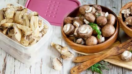 Receita rica em proteínas para quem não pode comer carne vermelha! Como fazer macarrão com molho de trufas?