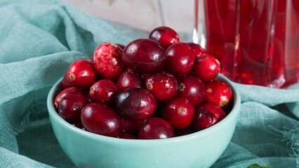 Quais são os benefícios do Cranberry? Como é fabricado o chá de cranberry?
