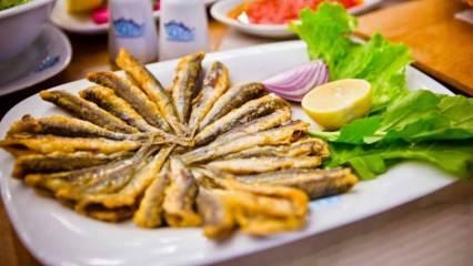 Como fazer a panela de anchova mais fácil? Receita de batata frita com anchova