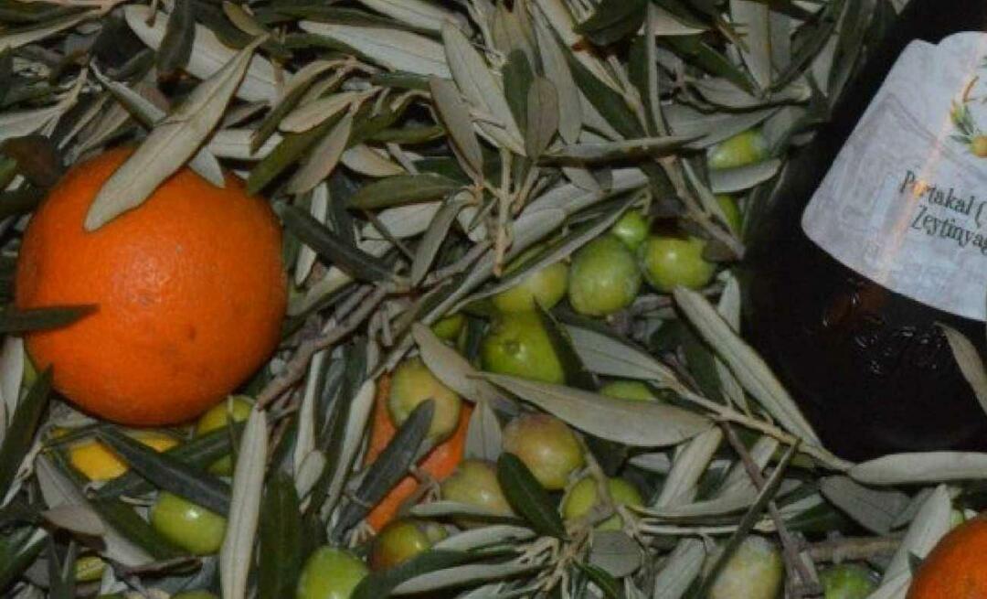 Mulheres empresárias de Balıkesir produziam azeite de laranja!