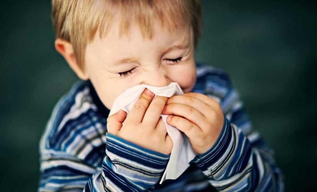 O que é alergia sazonal em crianças? Mistura com frio? O que é bom para alergias sazonais?
