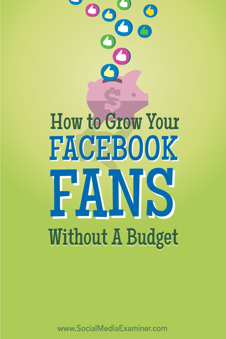 como aumentar fãs no Facebook sem orçamento