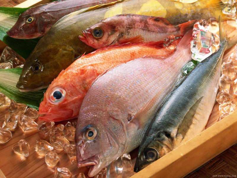 Dicas para escolher peixe fresco do júri do Masterchef Mehmet Chef