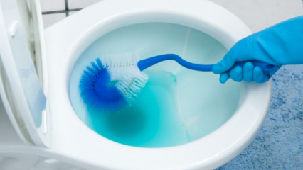 Como limpar uma escova de vaso sanitário? 