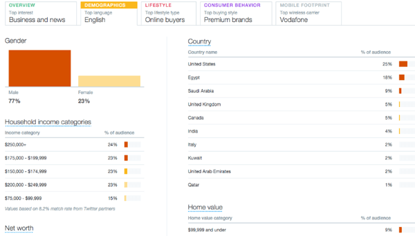 amostra de informações da guia demográfica do público do Twitter