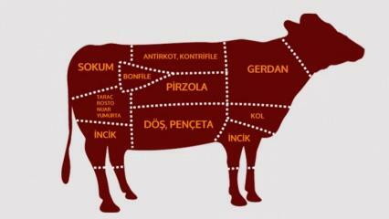 Quais são as partes da carne bovina? Qual carne é cortada de qual região?