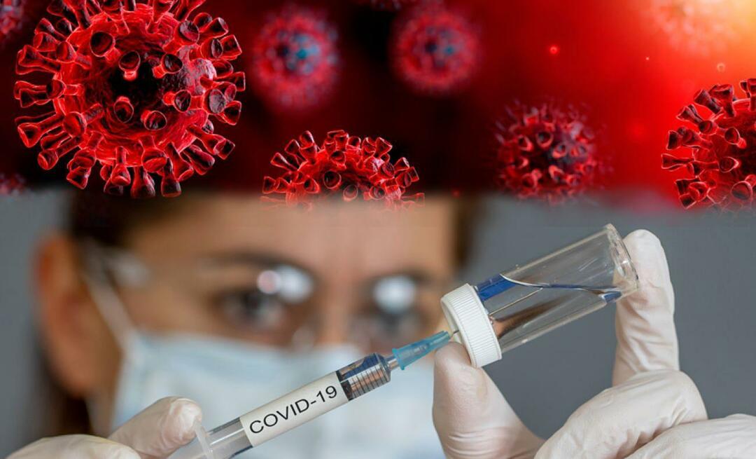 É direito das pessoas não serem vacinadas contra doenças epidêmicas? Presidência de Assuntos Religiosos anunciada