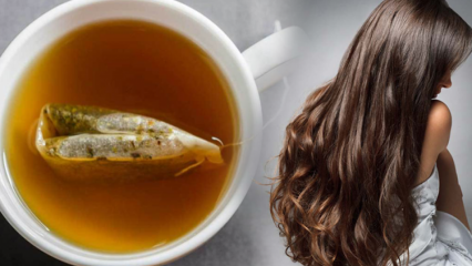 Quais são os benefícios do chá verde para o cabelo? Receita de máscara de pele de chá verde
