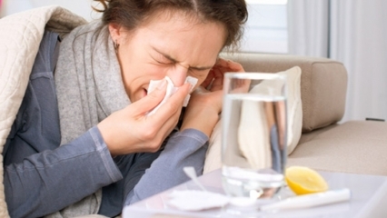 Quais são os alimentos que são bons para gripes e resfriados? 5 alimentos que previnem a gripe ...