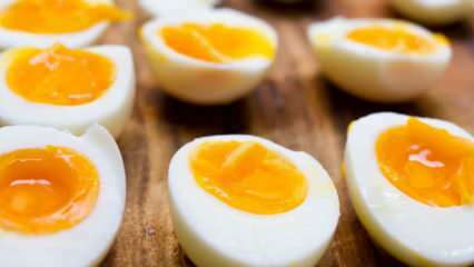 Como o ovo cozido deve ser armazenado? Dicas para a fervura ideal de ovos