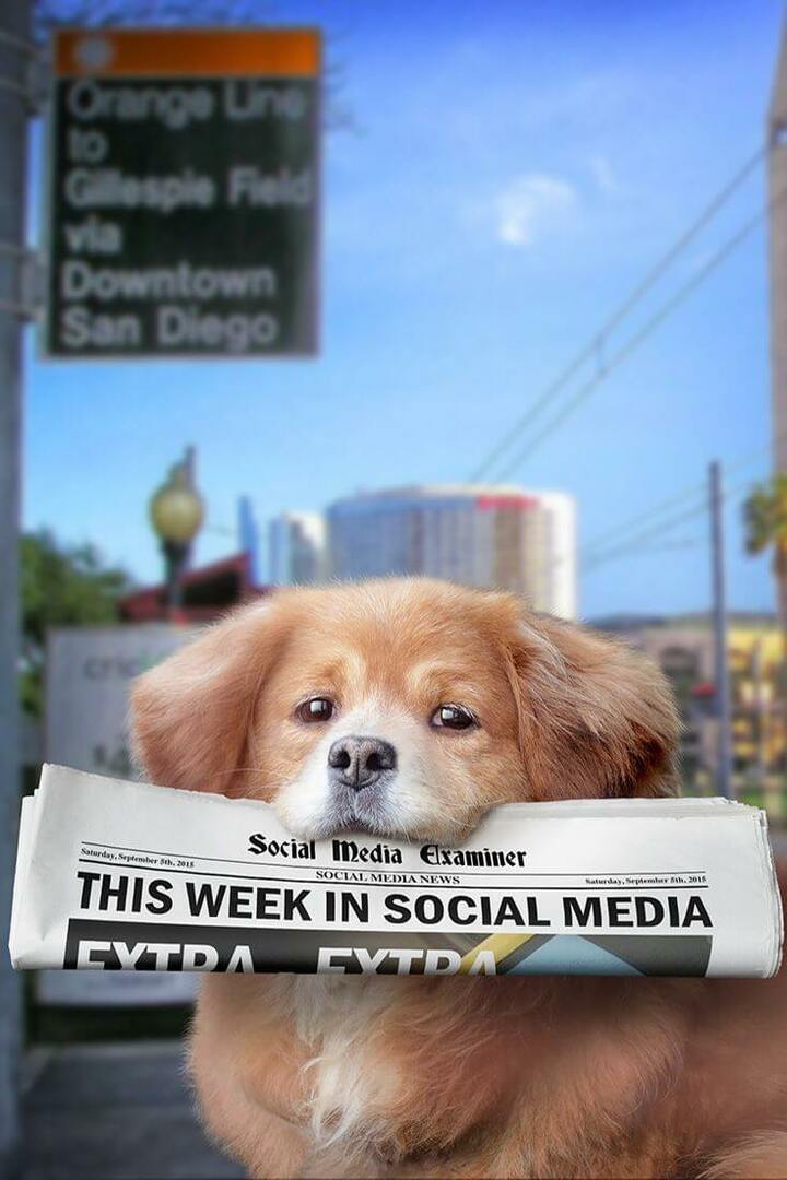 Periscope transmite originalmente no Twitter: Esta semana nas mídias sociais: examinador de mídias sociais
