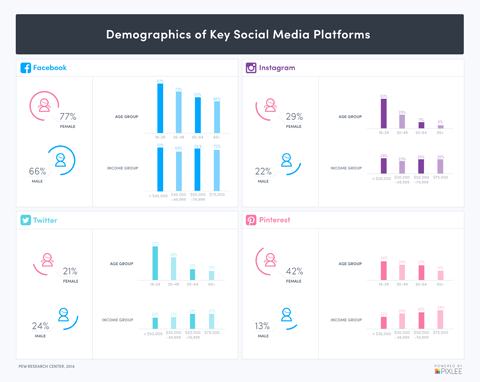 demografia de mídia social