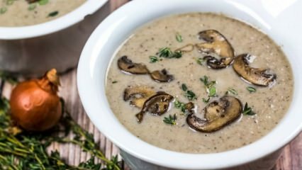 Deliciosa receita de sopa de cogumelos com leite