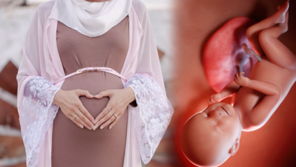 Orações a serem lidas para manter o bebê saudável durante a gravidez e as lembranças dos desejos de Huseyin