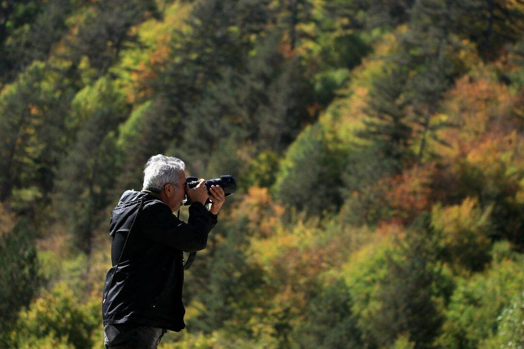 Montanha Ilgaz: Todas as cores do outono estão aqui