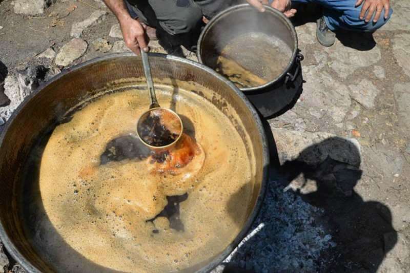 A verdade desconhecida no solo de melaço! O que é solo de melaço e o que ele faz?