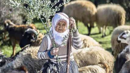 Tia Fatma é uma pastora no sopé das Montanhas Amanos há meio século!
