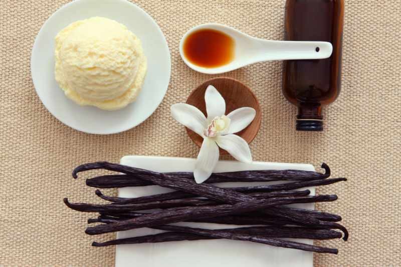 O que é vanilina açucarada? Vanilla e Vanilin são a mesma coisa? Fazendo baunilha com açúcar