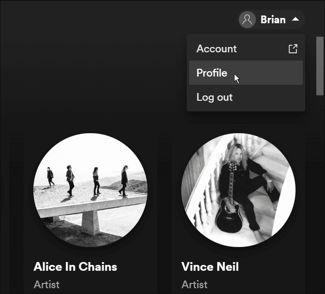 botão de perfil Acesse seu histórico de escuta do Spotify