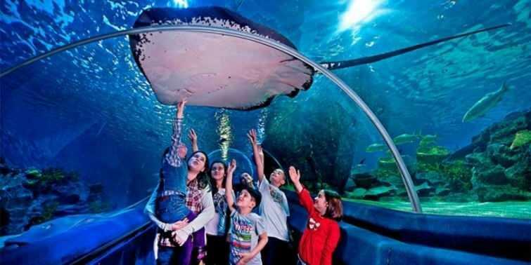  Molduras do Istanbul Sea Life Aquarium