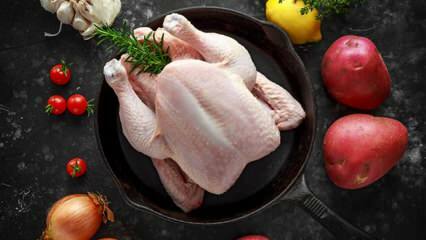 Como saber se o frango está estragado? Quais são os sinais de que o frango está estragando?
