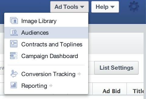 ferramentas de anúncios para públicos semelhantes ao Facebook